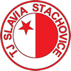 TJ Slavia Stachovice